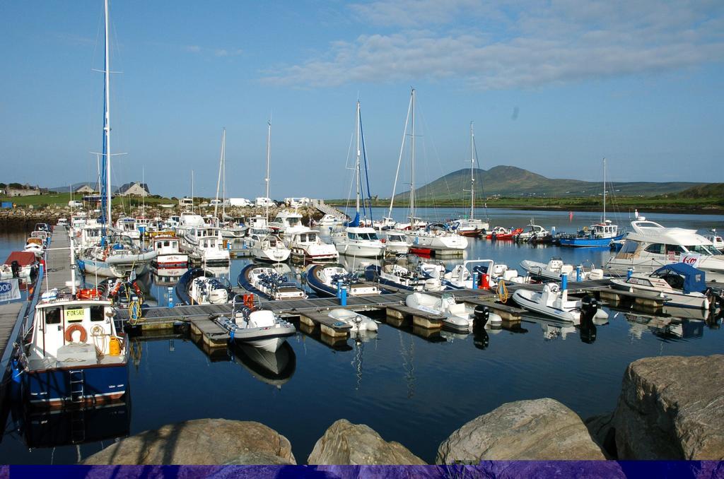 Iveragh Heights Bed & Breakfast Cahersiveen Dış mekan fotoğraf